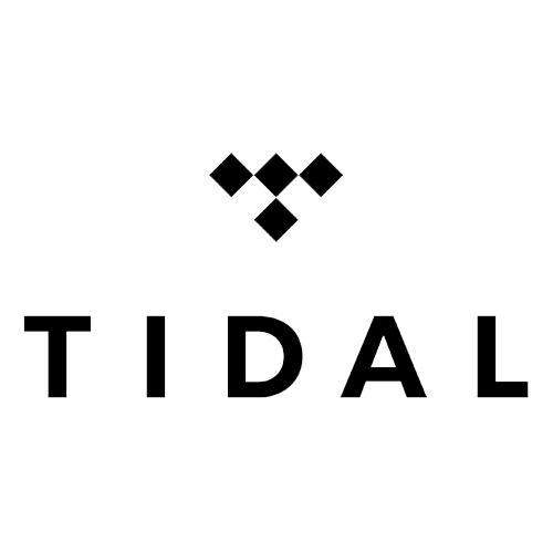 tidal music stock price